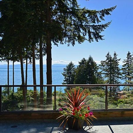 Sunshine Coast Treetop B&B Sechelt Kültér fotó
