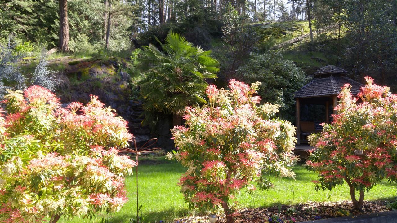 Sunshine Coast Treetop B&B Sechelt Kültér fotó