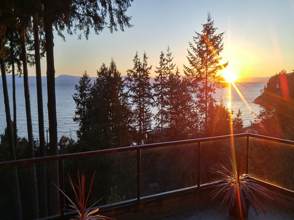 Sunshine Coast Treetop B&B Sechelt Kültér fotó