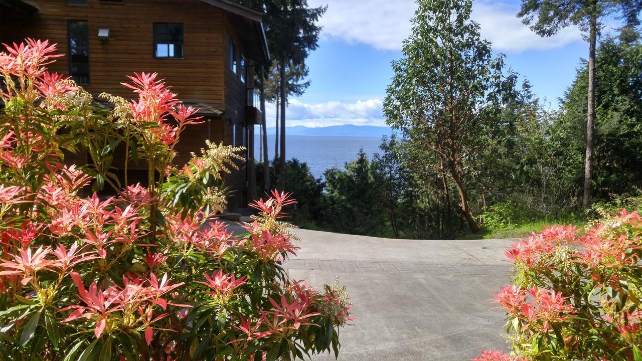 Sunshine Coast Treetop B&B Sechelt Kültér fotó