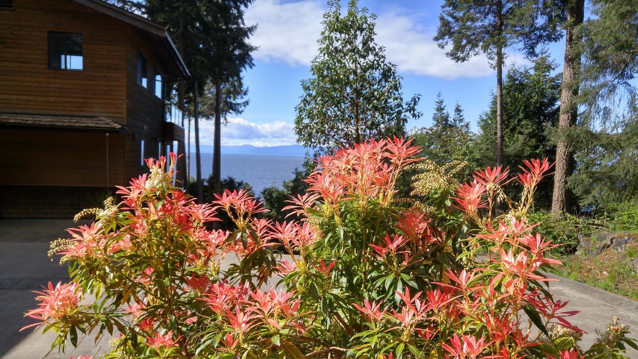 Sunshine Coast Treetop B&B Sechelt Kültér fotó
