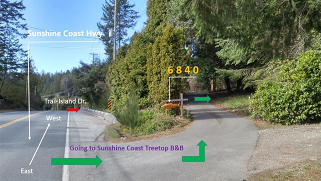 Sunshine Coast Treetop B&B Sechelt Kültér fotó