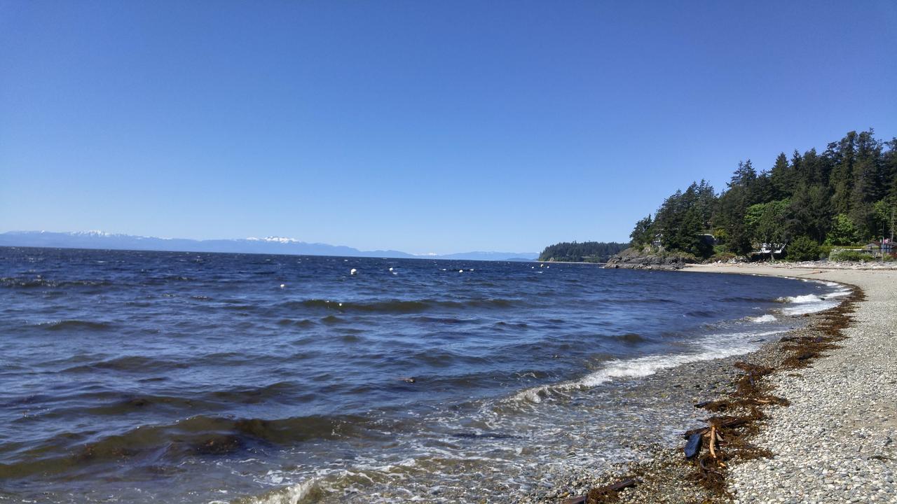 Sunshine Coast Treetop B&B Sechelt Kültér fotó