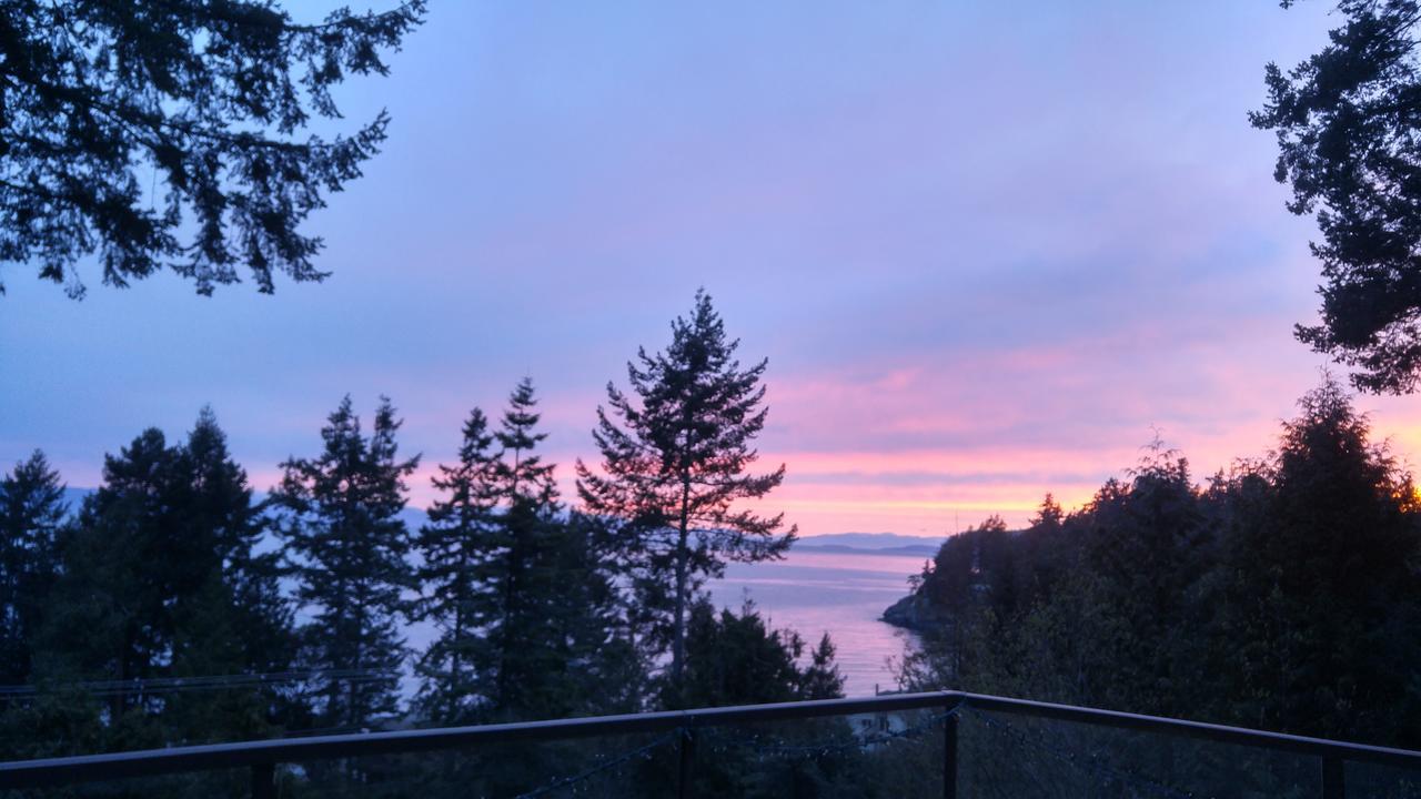 Sunshine Coast Treetop B&B Sechelt Kültér fotó