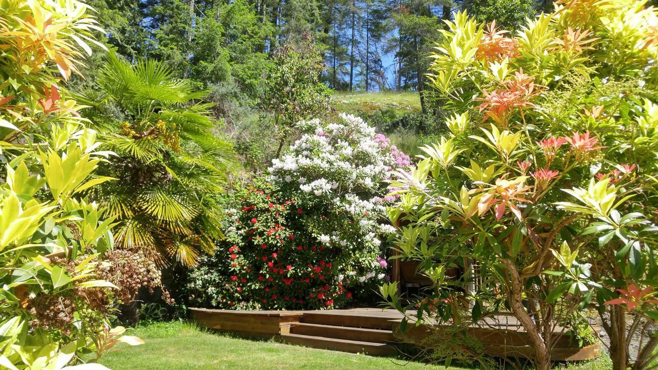Sunshine Coast Treetop B&B Sechelt Kültér fotó