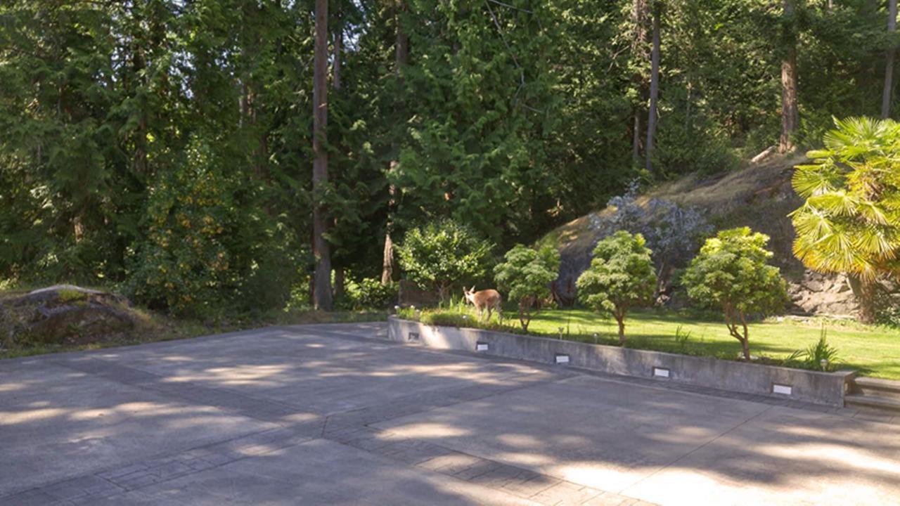 Sunshine Coast Treetop B&B Sechelt Kültér fotó