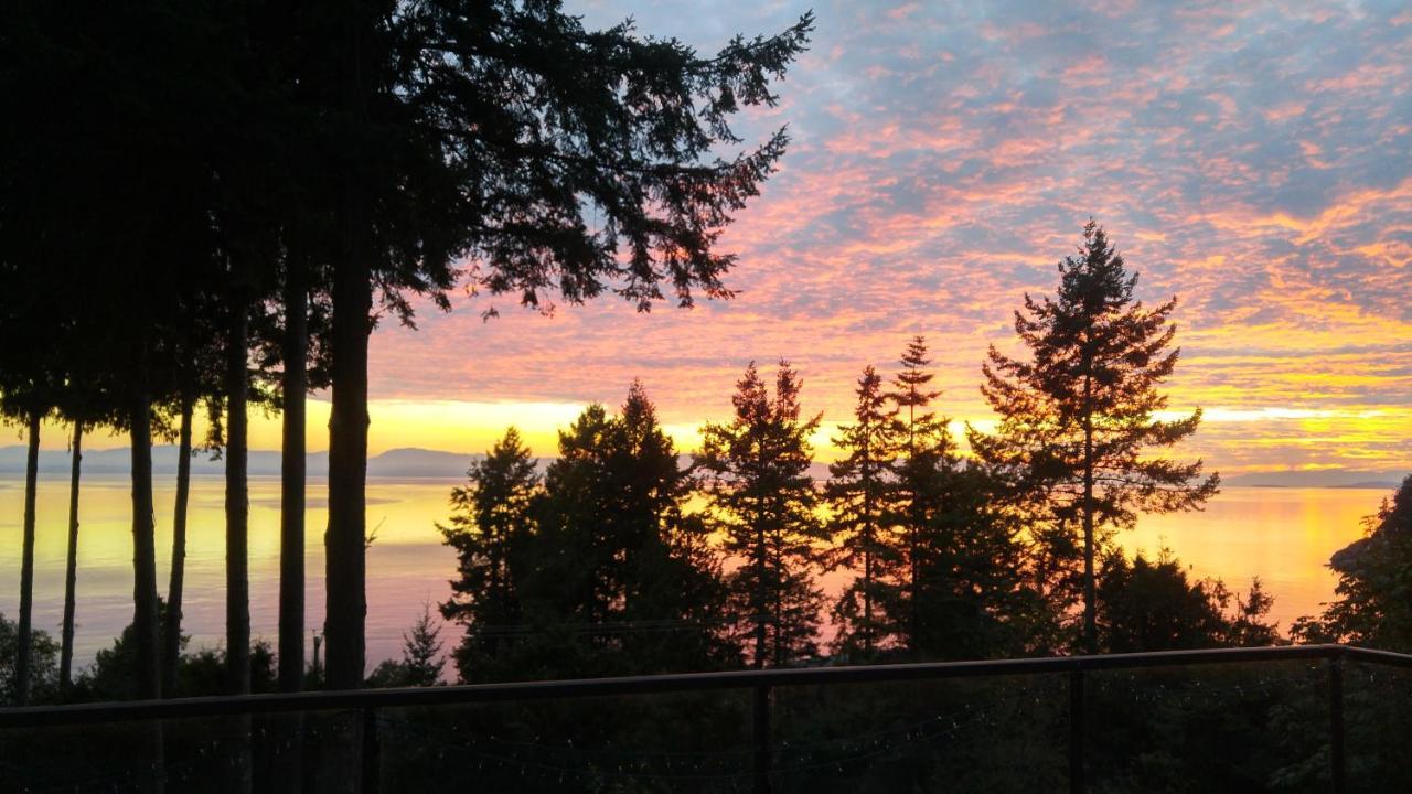 Sunshine Coast Treetop B&B Sechelt Kültér fotó