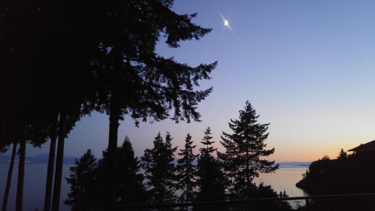 Sunshine Coast Treetop B&B Sechelt Kültér fotó
