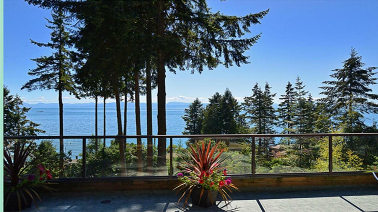 Sunshine Coast Treetop B&B Sechelt Kültér fotó